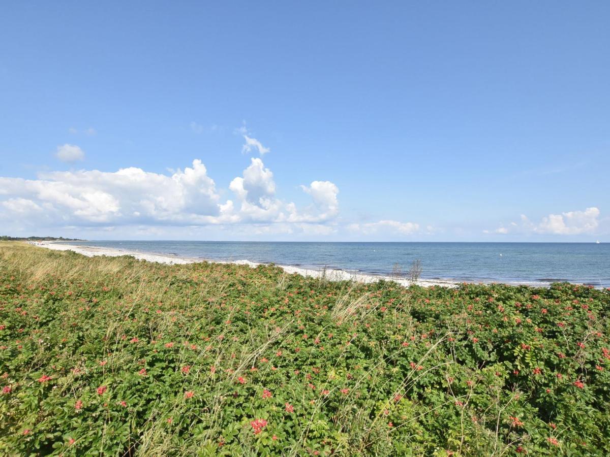 Charming Apartment In Pugholz Near Sea Hasselberg  Extérieur photo